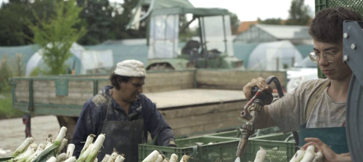 THE COMBINE  // © 2023 RFF – Real Fiction Filmverleih e.K. | IT WORKS! Medien GmbH    THE COMBINE