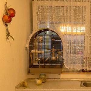 Ludger F. J. Schneider: Die Unverletzlichkeit der Kunst (Bild 11) © 2016 Ludger F. J. Schneider: Die Unverletzlichkeit der Kunst (Bild 11) © 2016