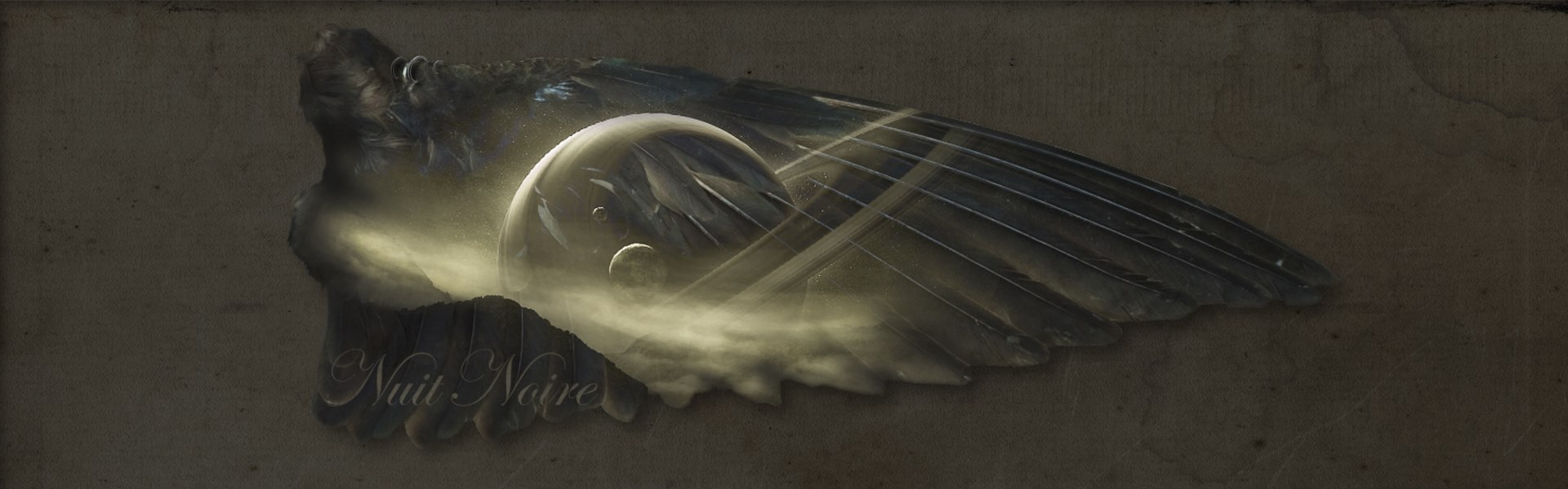 Nuit Noire   Nuit Noire