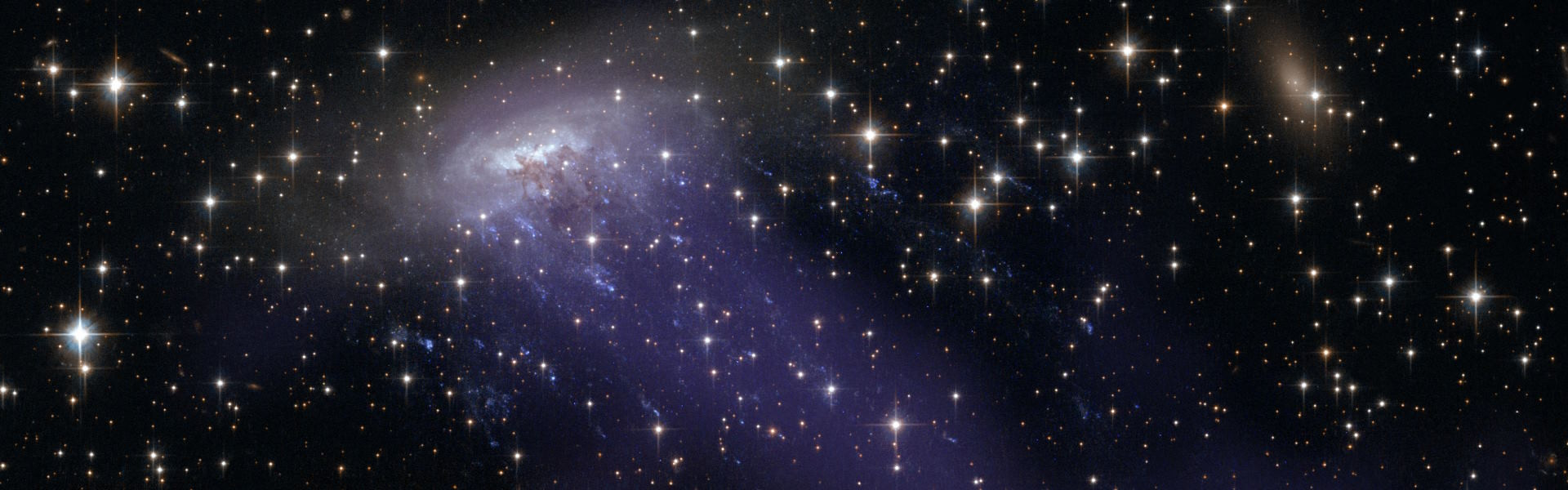 Die Quallengalaxie ESO 137-001 
