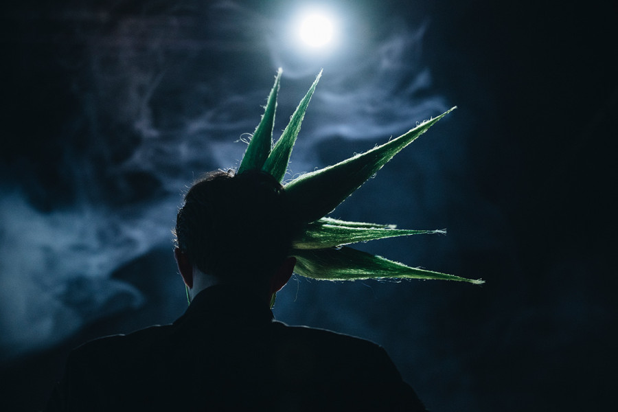 Tintenfischlady -   © Nancy Jesse  Von hinten im Gegenlicht zeichnet sich Hosches Kopf mit einem geometrischen, sternförmigen Accessoire ab.