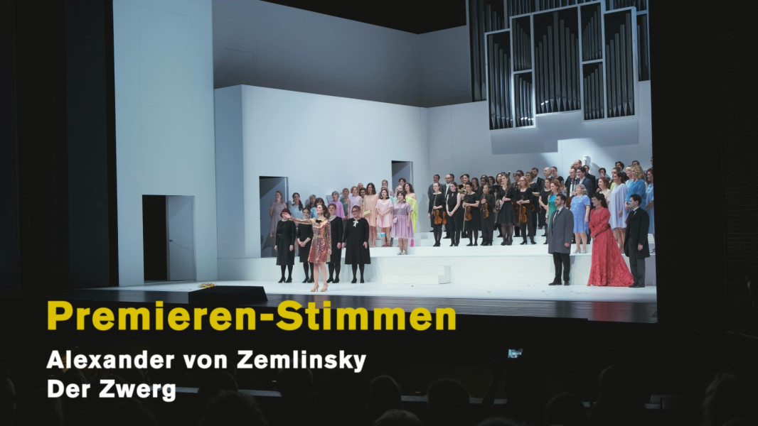 Dieses Bild ist das Standbild zu einem Video mit Publikumsstimmen zu Zemlinskys DER ZWERG nach der Premiere am 24. März 2019. Die Darsteller*innen, der Chor und die Bühnenmusiker*innen beim Schlussapplaus.
