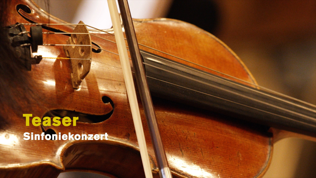 Benedikt Leithner, Solopauker, Orchestervorstand und Initiator der Reihe Wider das Vergessen, zum Sinfoniekonzert vom 9. Oktober 2023.