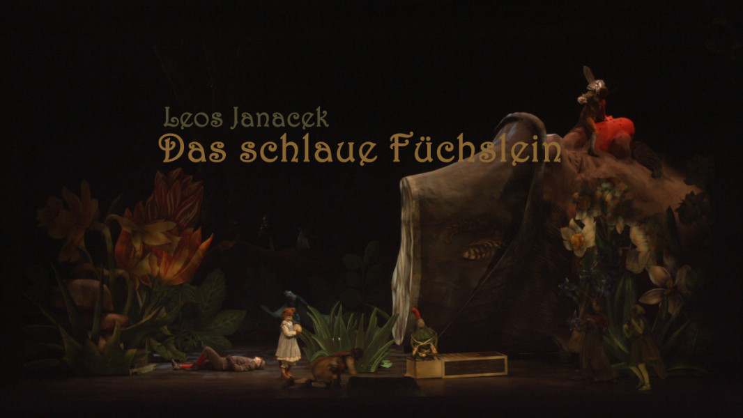 Dieses Foto ist das Standbild zu einem Videotrailer mit Stückimpressionen aus Katharina Thalbachs malerischer Inszenierung zu Leos Janaceks DAS SCHLAUE FÜCHSLEIN. Es ist eine Lichtung im Wald. Überlebensgroß ist der Kopf des Försters, der auf der Lichtung eingeschlafen ist, auf die Bühne geschoben. Um ihn herum tanzen die Tiere des Waldes, Mücken, Schmetterlinge und das kleine Füchslein ist da. Narzissen und Tulpen blühen auf dem Waldboden.