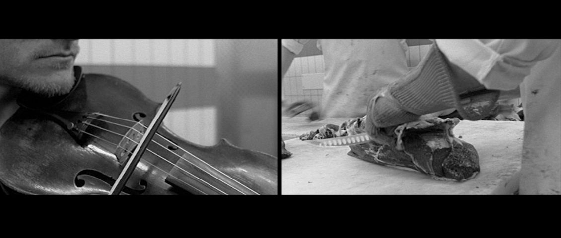 Musik aus Fleisch und Blut  // 2013 / HFF München // Laura Kansy / Rina Zimmering