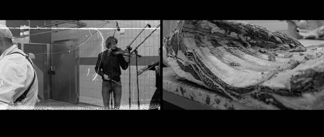 Musik aus Fleisch und Blut  // 2013 / HFF München // Laura Kansy / Rina Zimmering