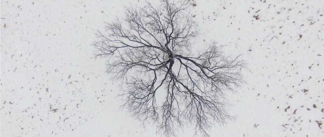 Bruchstücke einer deutschen Geschichte