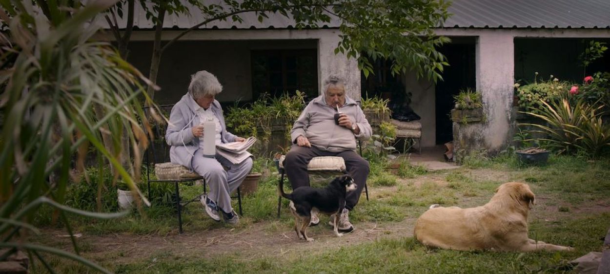 PEPE MUJICA – LESSONS FROM THE FLOWERBED