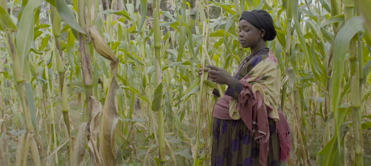 among us women  // © 2021 Evolution Film    among us women