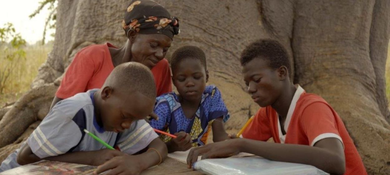 The Forest Maker  // © 2022 Weltkino Filmverleih    The Forest Maker