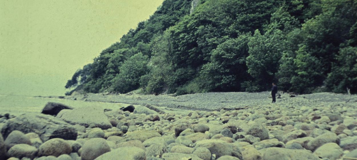 Summer and Winter   Summer and Winter