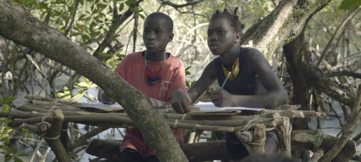 Mangrove School  // © 2022 Filipa César, Sónia Vaz Borges    Mangrove School