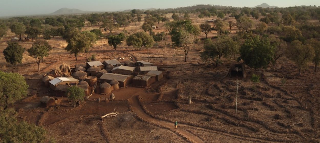 The Forest Maker  // © 2022 zero one film | Weltkino Filmverleih | Patra Spanou Film    The Forest Maker