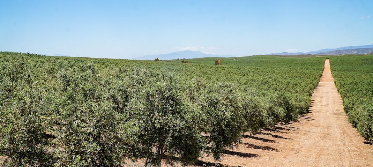 Drought in Europe  // © 2021 TVNTV GmbH | NEW DOCS    Drought in Europe