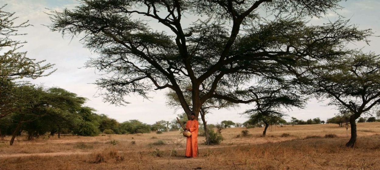 The Forest Maker  // © 2022 zero one film | Weltkino Filmverleih | Patra Spanou Film    The Forest Maker