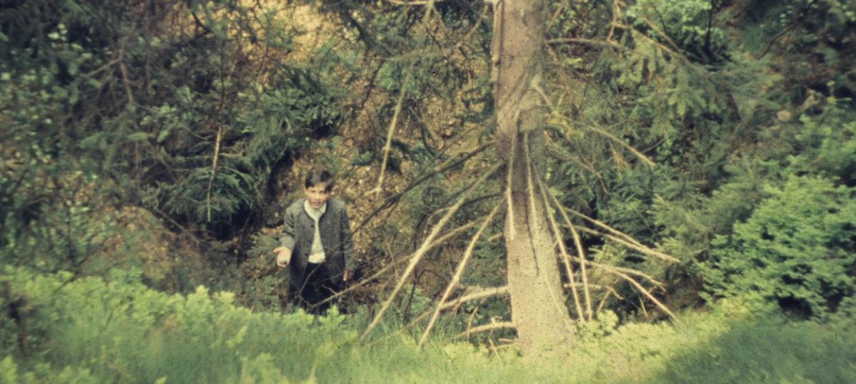 Summer and Winter   Summer and Winter