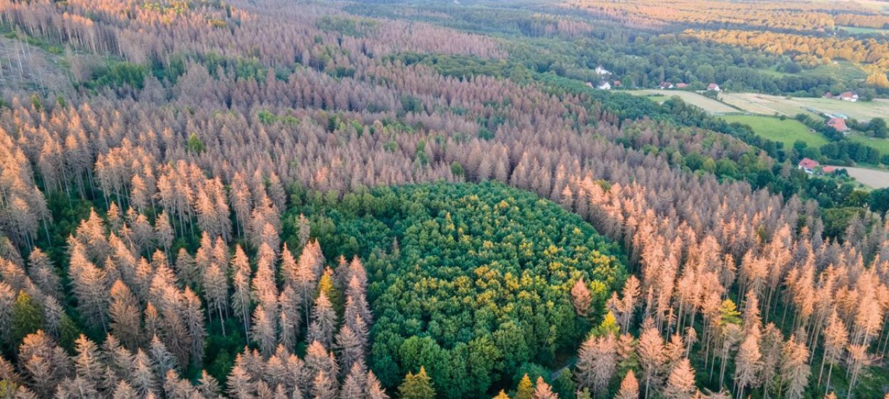 Drought in Europe  // © 2021 TVNTV GmbH | NEW DOCS    Drought in Europe