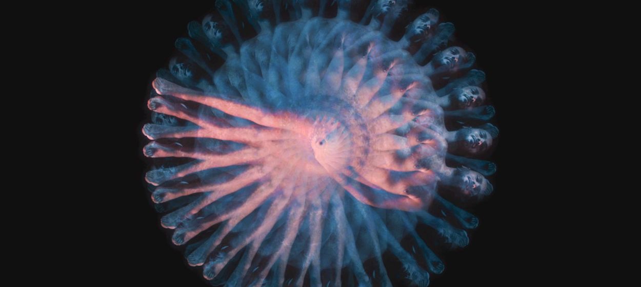 Embodied Chorus  // © 2023 madame le tapis | HEARTWAKE films | Wild Fang Films    Embodied Chorus