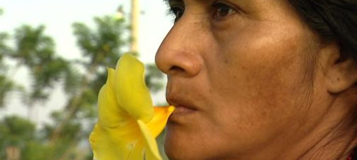 HALF  WAY TO HEAVEN  // © (c) 2008 Lars Barthel   HALF  WAY TO HEAVEN