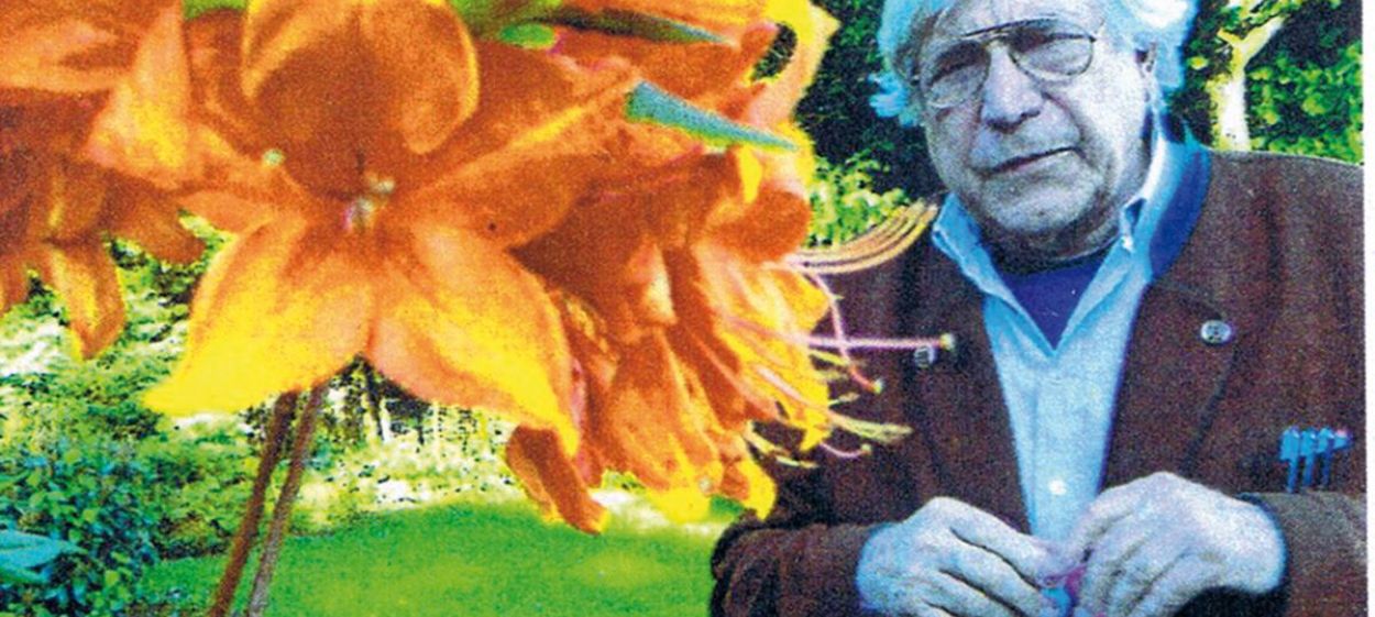 BAZON - SERIOUS JOKES  // © 2017 Peter Sempel blacksunflower    BAZON - SERIOUS JOKES