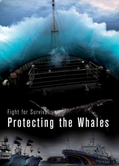 FIGHT FOR SURVIVAL: PROTECTING THE WHALES