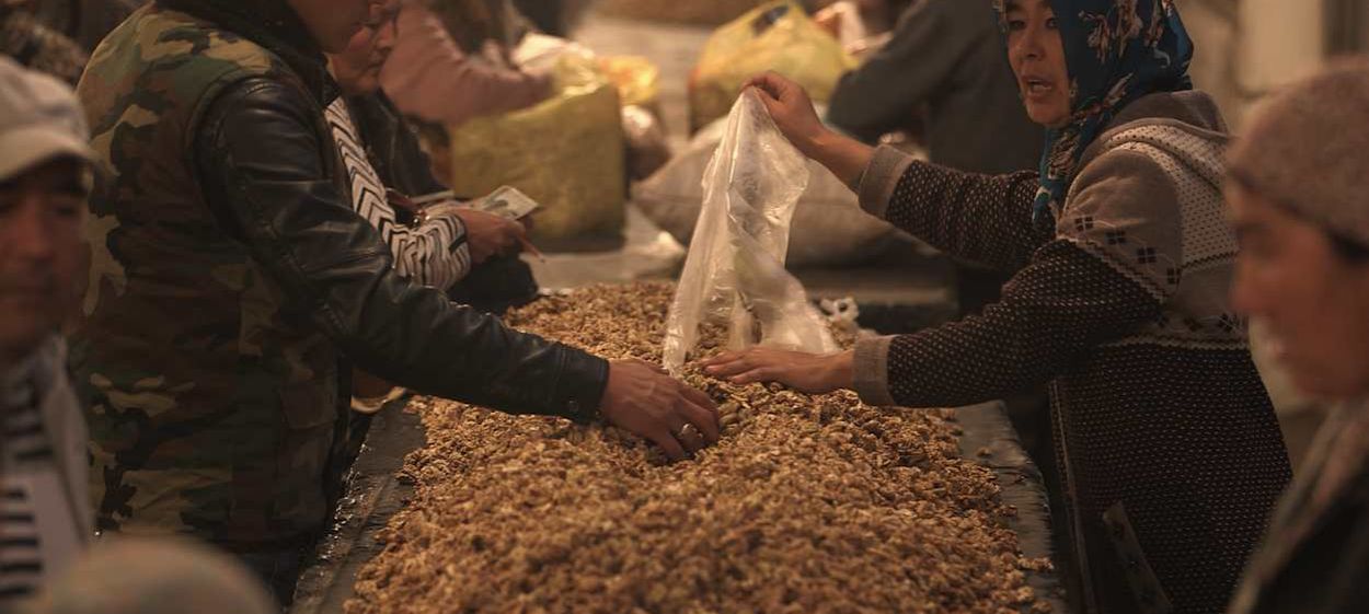 Kyrgystan’s Gold – Treasures from the Forest  // © mangemondofilms INT | new docs    Kyrgystan’s Gold – Treasures from the Forest