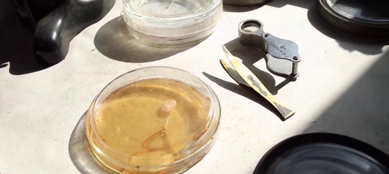 Penicillin – A Medical Revolution   Penicillin – A Medical Revolution