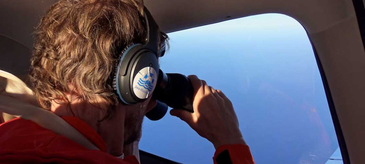 Operation Moonbird  // © 2020 Dustin Lose | AG-Kurzfilm    Operation Moonbird