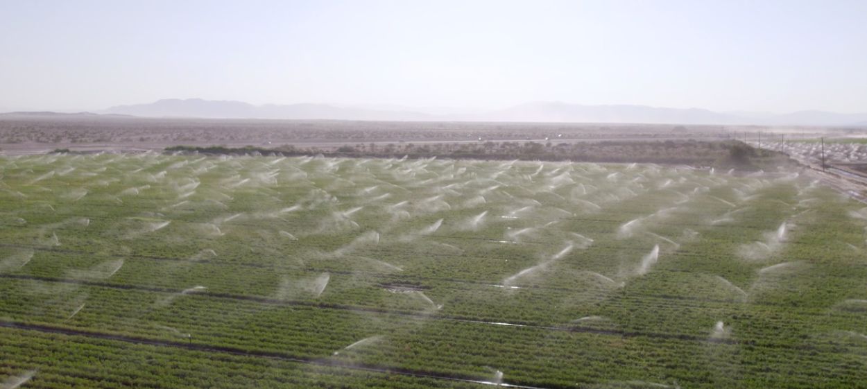 Thirst - What Happens When All Our Water Is Gone  // © 2022 NEW DOCS | diwafilm    Thirst - What Happens When All Our Water Is Gone