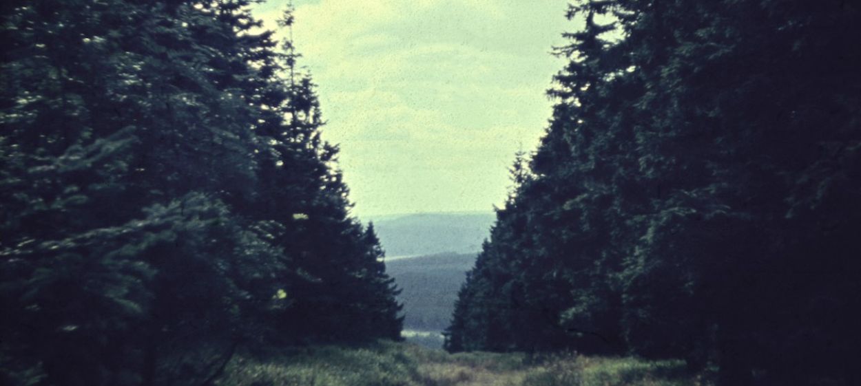 Summer and Winter   Summer and Winter