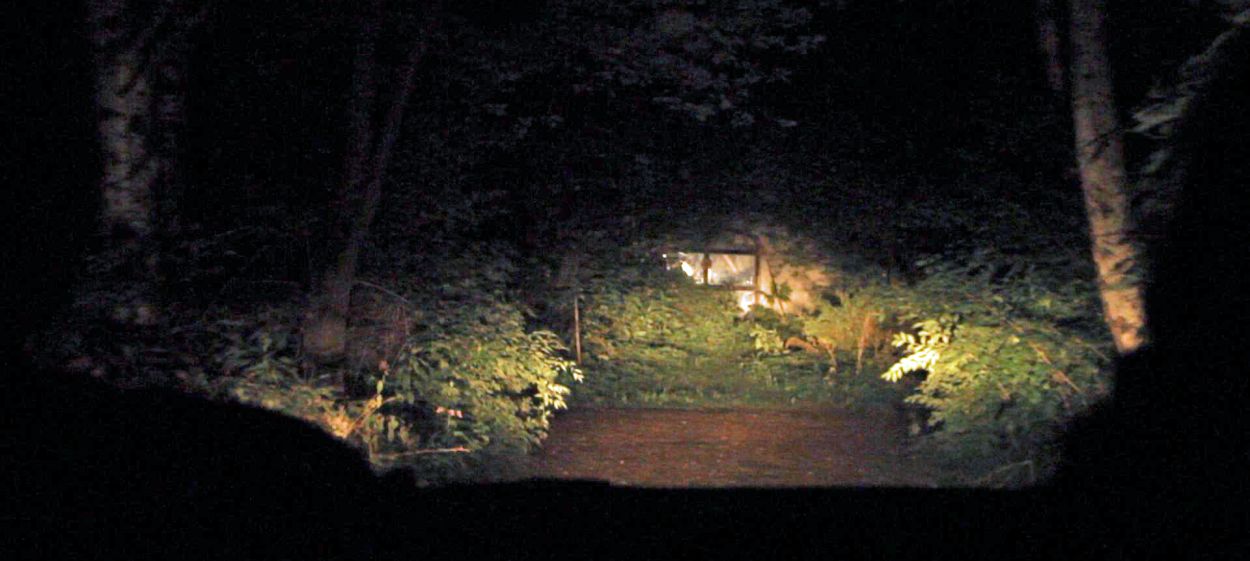THE REVENANTS  // © (c) 2012    THE REVENANTS
