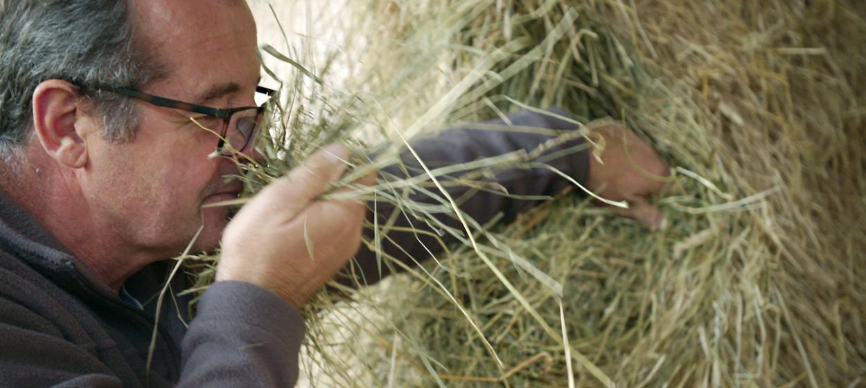 YES WE CAN... Agricultural Change NOW!  // © 2022 DENKmal-Film Verhaag GmbH    YES WE CAN... Agricultural Change NOW!