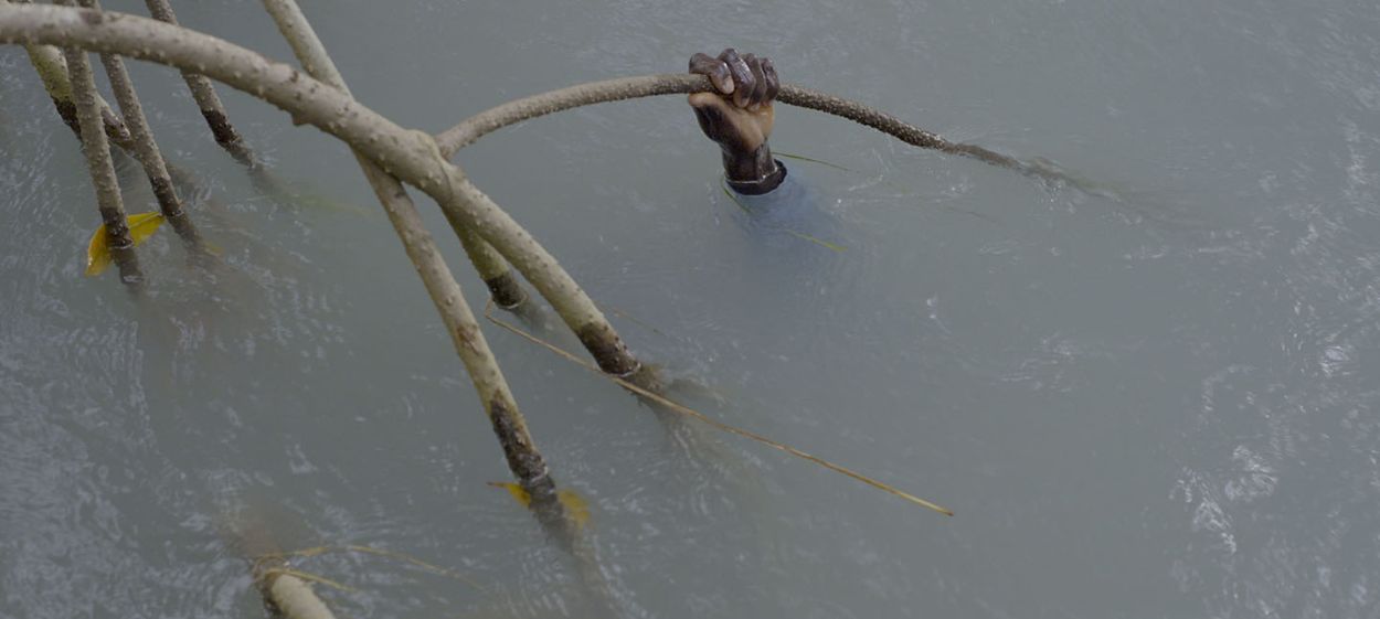 Mangrove School  // © 2022 Filipa César, Sónia Vaz Borges    Mangrove School