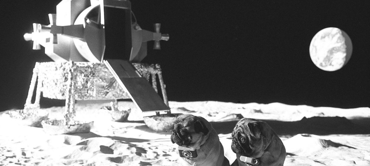 Loriot 100  // © 2023Florianfilm GmbH | SWR | Radio Bremen    Loriot 100