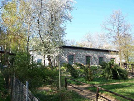 Steinsägenhaus im Frühjahr