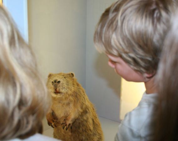 2019 / Museum der Westlausitz