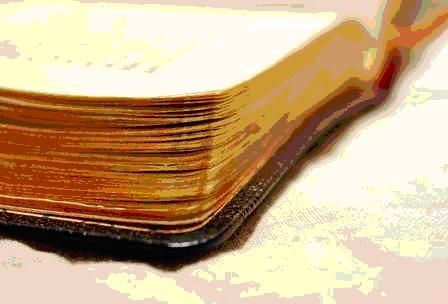 2014 / Susanne Schmich - pixelio.de