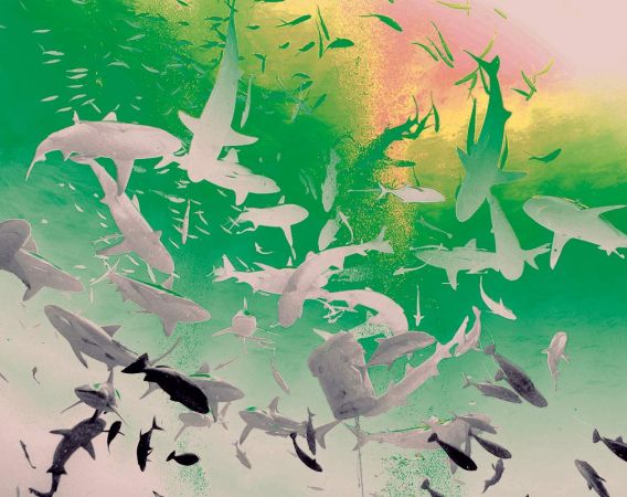 2019 / Museum der Westlausitz