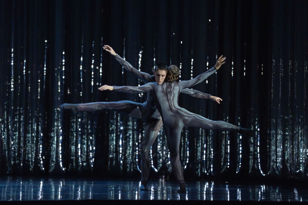 Goldberg ©Jesus Vallinas