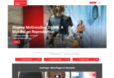 Webseite des Kulturserver NRW -  ©Kulturserver