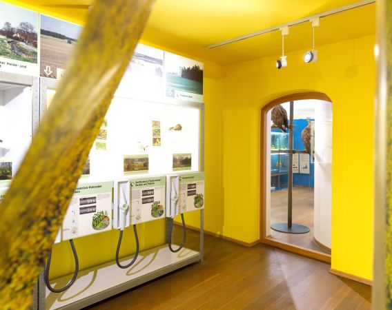 Museum der Westlausitz in Kamenz // © 2022 / Museum der Westlausitz Elementarium
