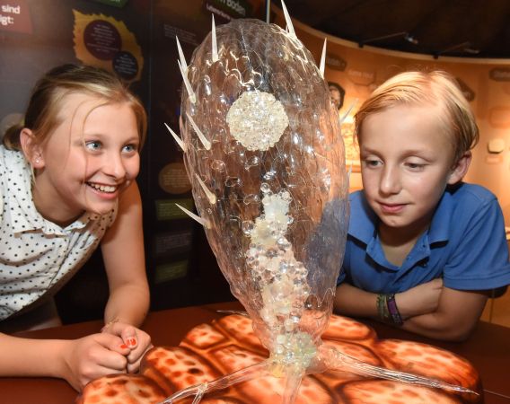 Kinder in der Ausstellung Boden // © 2019 / Senckenberg Museum für Naturkunde // Sven Tränker