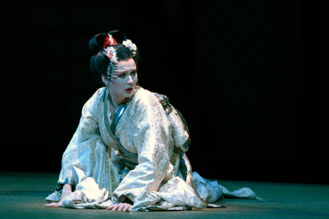 Madama Butterfly 