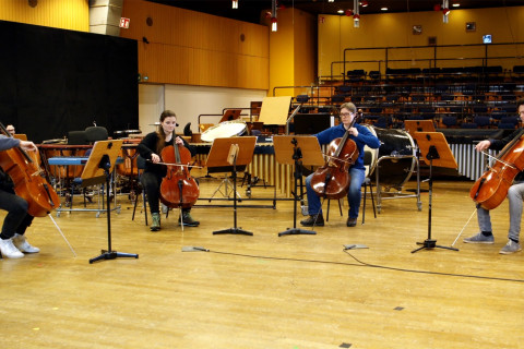 Digitale Instrumentenvorstellung: Die Violoncelli Digitale Instrumentenvorstellung: Die Violoncelli