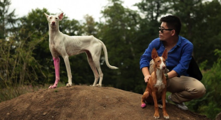 ART'S HOME IS MY KASSEL