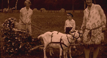 Heimatfilm 1929