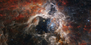 Das James Webb Weltraumteleskop: Erste Ergebnisse