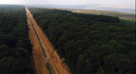 The Red Line – Resistance in Hambach Forest