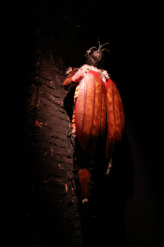 Eine Person in einem Käferkostüm klettert an einer Wand hoch. Eine Person in einem Käferkostüm klettert an einer Wand hoch.