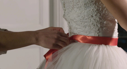 The Virgin Obsession